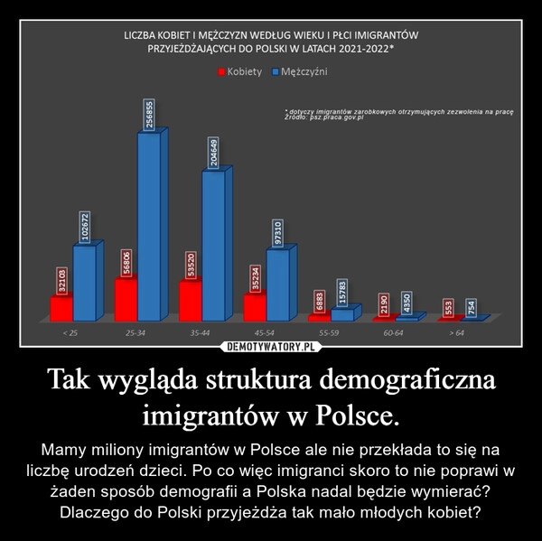 
    Tak wygląda struktura demograficzna imigrantów w Polsce.