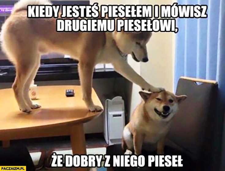 
    Kiedy jesteś piesełem i mówisz drugiemu piesełowi, że dobry z niego pieseł