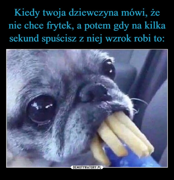 
    Kiedy twoja dziewczyna mówi, że nie chce frytek, a potem gdy na kilka sekund spuścisz z niej wzrok robi to: