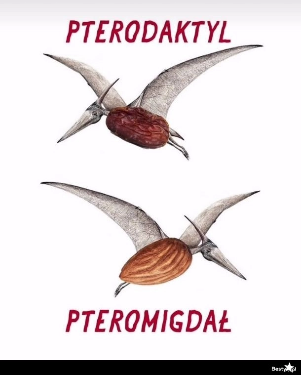 
    Pteromigdał 