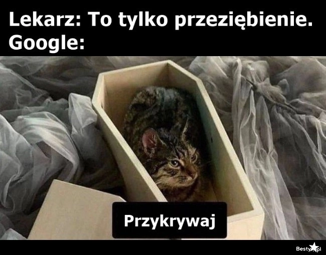 
    Lekarz Google 