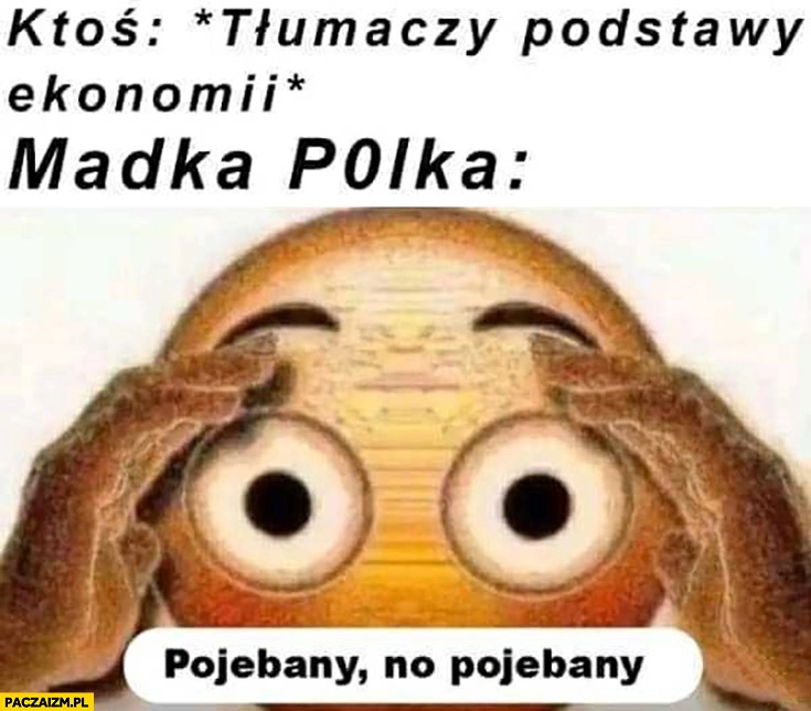 
    Ktoś tłumaczy podstawy ekonomii madka polka powalony no powalony