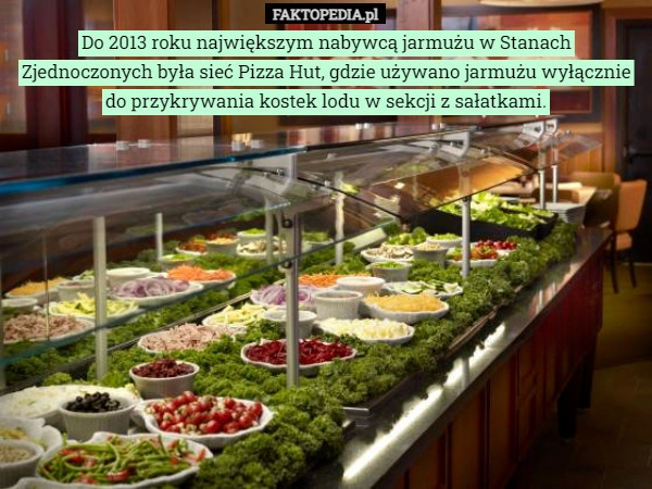 
    Do 2013 roku największym nabywcą jarmużu w Stanach Zjednoczonych była sieć