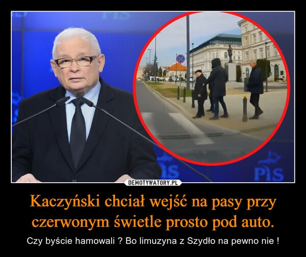 
    Kaczyński chciał wejść na pasy przy czerwonym świetle prosto pod auto.