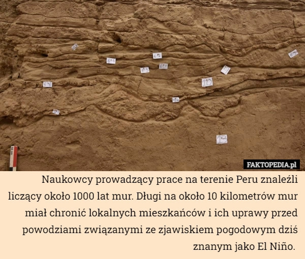 
    Naukowcy prowadzący prace na terenie Peru znaleźli liczący około 1000 lat