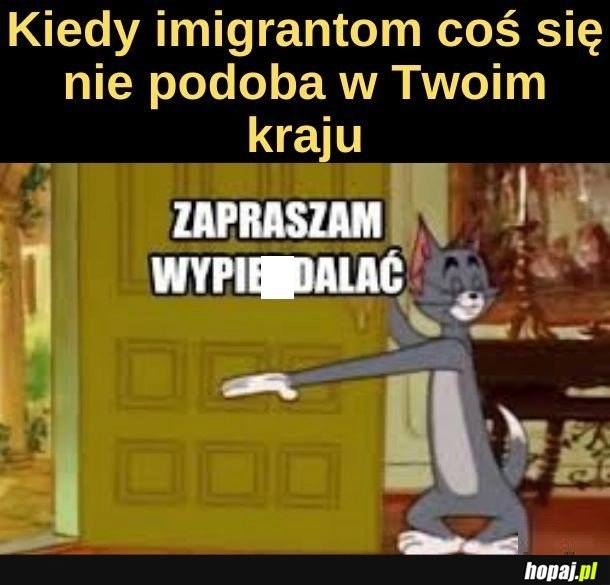 
    Ale mi też sie tu dużo rzeczy nie podoba!