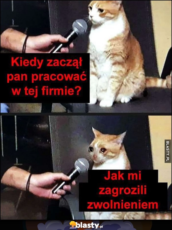 
    Kiedy zaczął pan pracować w tej firmie, jak mi zagrozili zwolnieniem kot kotek