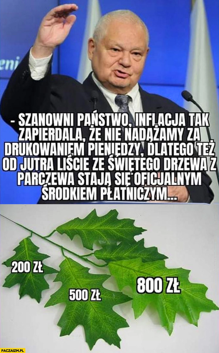 
    Glapiński inflacja tak zapierdala, ze nie nadążamy z drukowaniem pieniędzy, od jutra liście z drzewa z Parczewa staja się środkiem płatniczym