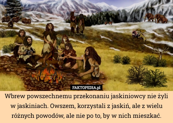 
    Wbrew powszechnemu przekonaniu jaskiniowcy nie żyli w jaskiniach. Owszem,