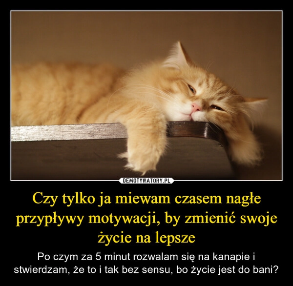 
    Czy tylko ja miewam czasem nagłe przypływy motywacji, by zmienić swoje życie na lepsze