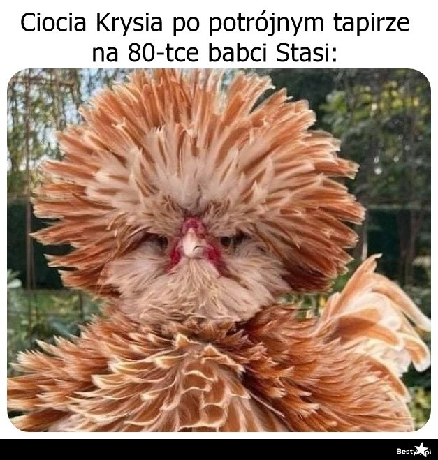 
    Tapir musi być 