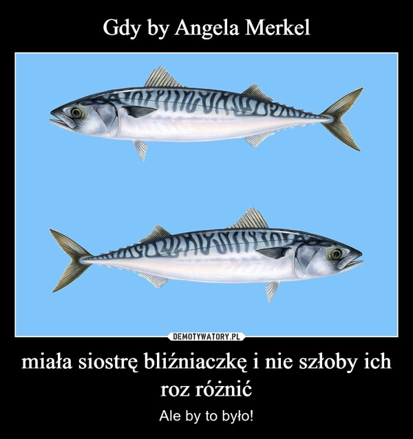 
    Gdy by Angela Merkel miała siostrę bliźniaczkę i nie szłoby ich roz różnić