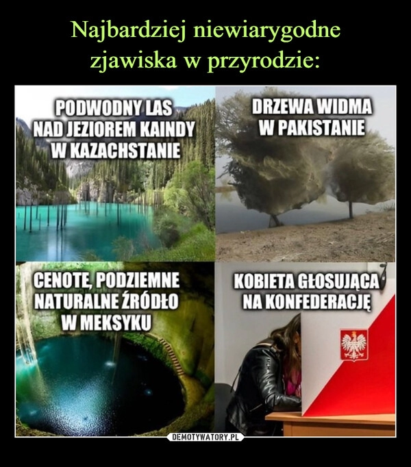 
    Najbardziej niewiarygodne
zjawiska w przyrodzie: