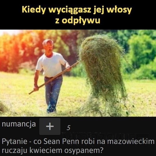 
    Włosy