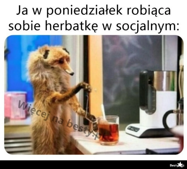 
    Poniedziałek 