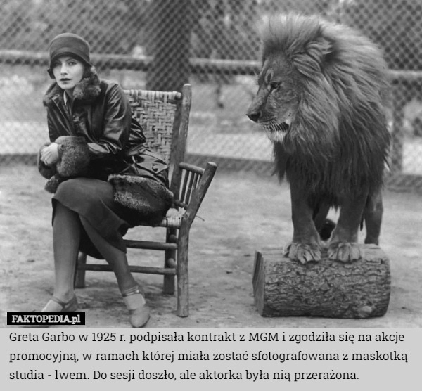 
    Greta Garbo w 1925 r. podpisała kontrakt z MGM i zgodziła się na akcje promocyjną,