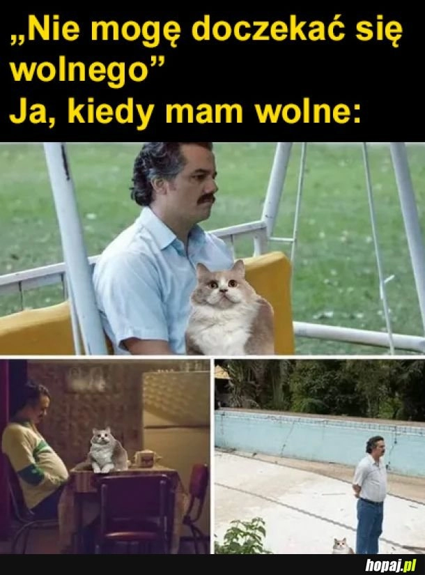 
    Wolny czas