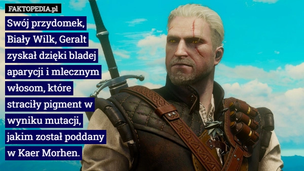 
    
			Swój przydomek, Biały Wilk, Geralt zyskał dzięki bladej aparycji i mlecznym...					