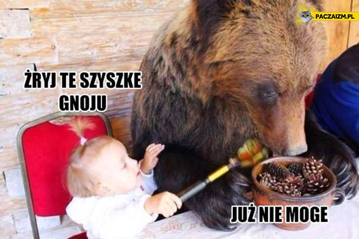 
    Żryj te szyszkę gnoju już nie mogę niedźwiedź