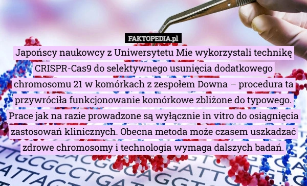 
    Japońscy naukowcy z Uniwersytetu Mie wykorzystali technikę CRISPR-Cas9 do