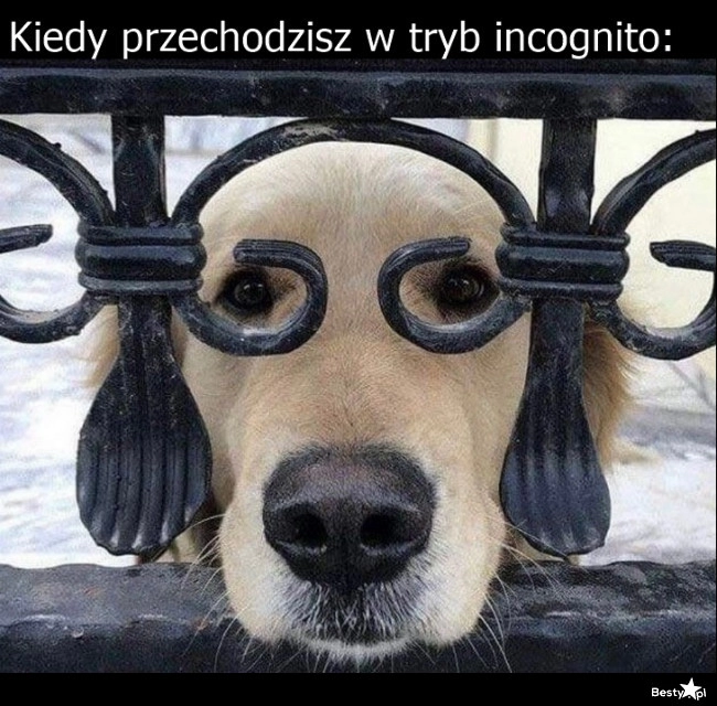 
    Tryb incognito 