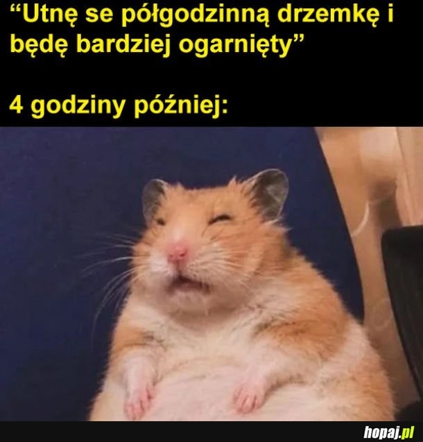 Który mamy rok i kim jestem