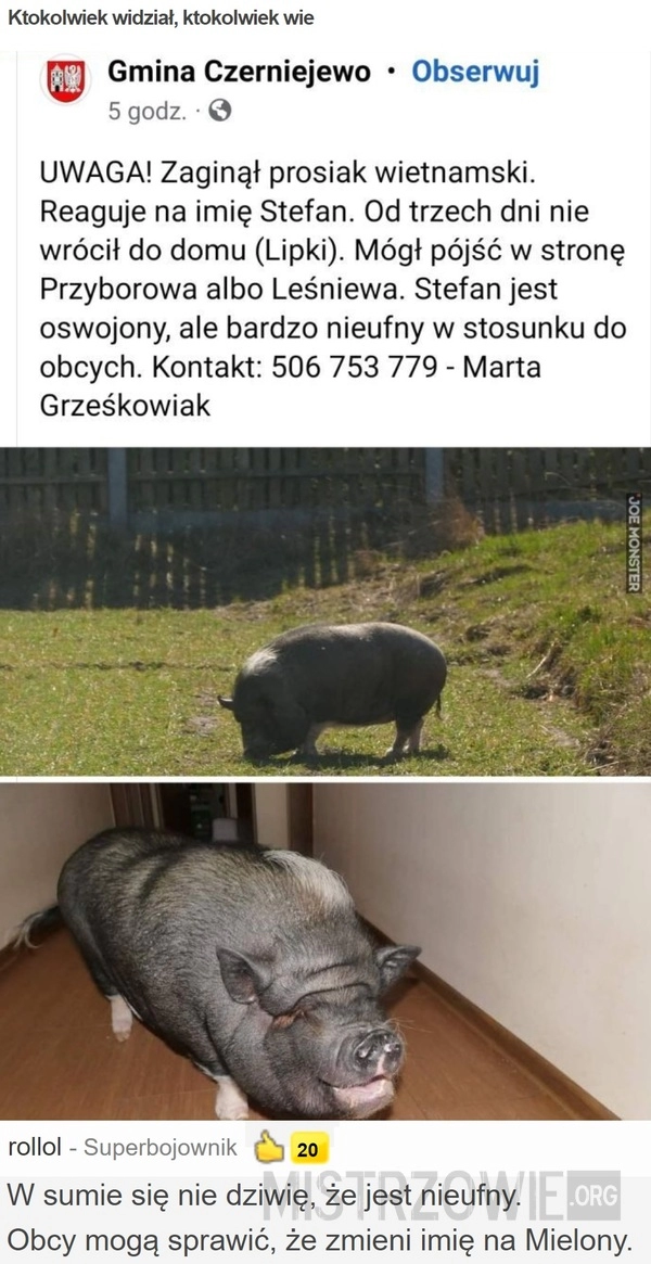 
    
			Ktokolwiek widział, ktokolwiek wie					