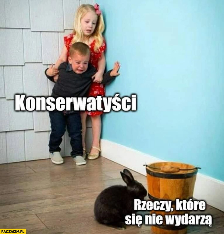 
    Konserwatyści vs rzeczy które nigdy się nie wydarza dziecko chłopiec boi się zająca królika