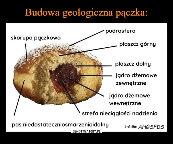 
    Budowa geologiczna pączka: