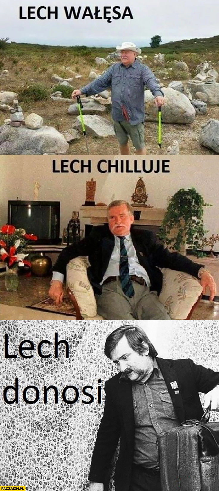 
    Lech Wałęsa, Lech chilluje, Lech donosi