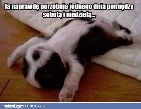 
    Ekstra dzień