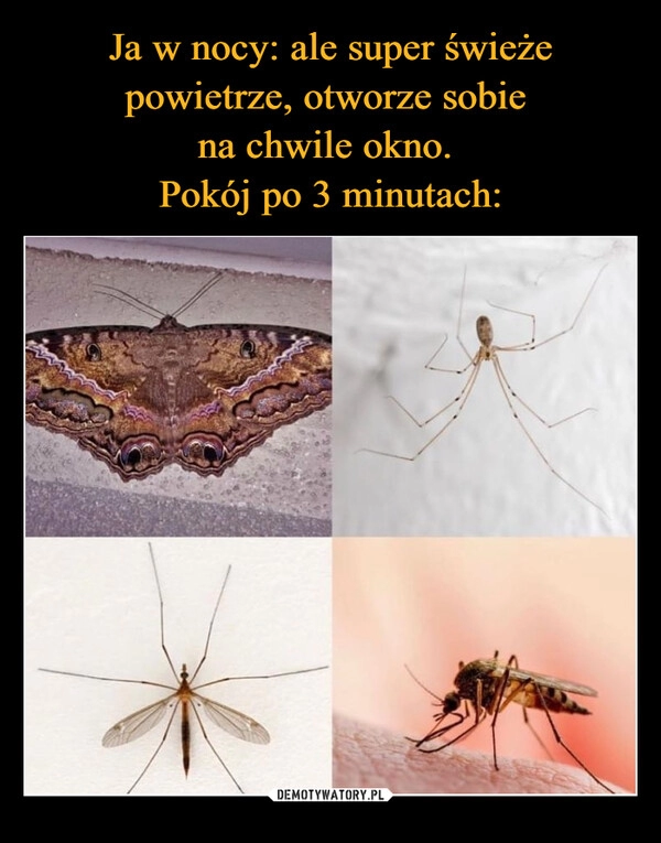 
    Ja w nocy: ale super świeże powietrze, otworze sobie 
na chwile okno. 
Pokój po 3 minutach: