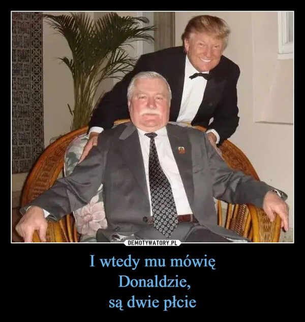 
    I wtedy mu mówię
 Donaldzie,
są dwie płcie