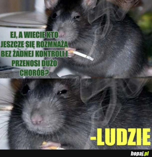 
    Najwięksi szkodnicy