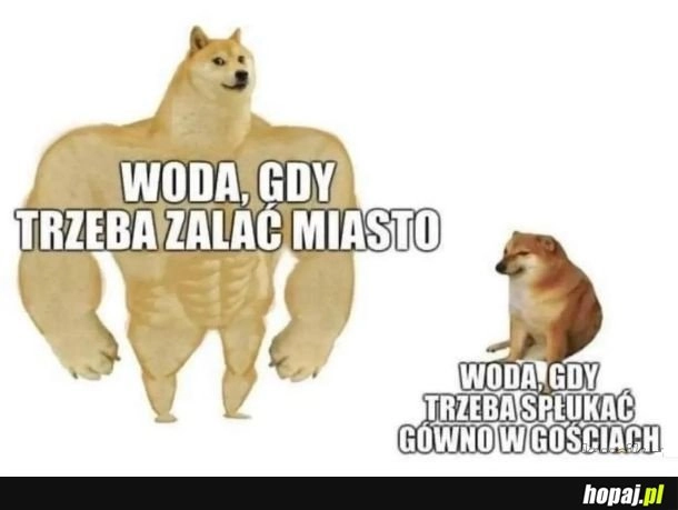 
    Woda