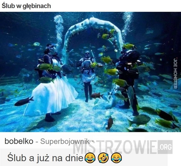 
    Ślub w głębinach