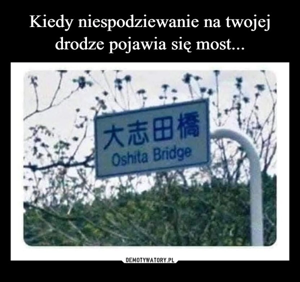 
    Kiedy niespodziewanie na twojej drodze pojawia się most...