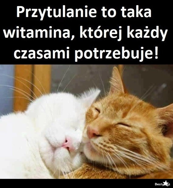 
    Przytulanie 