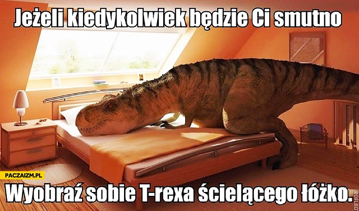 
    Jeżeli kiedykolwiek będzie Ci smutno wyobraź sobie T-rexa ścielącego łóżko