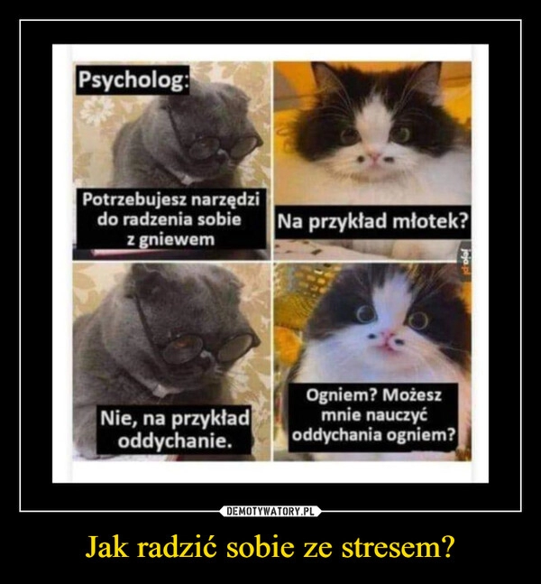 
    Jak radzić sobie ze stresem?