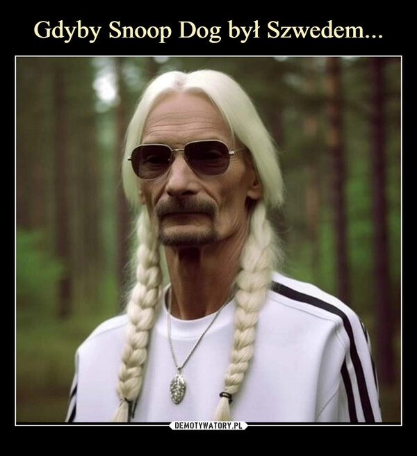 
    Gdyby Snoop Dog był Szwedem...