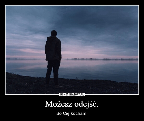 
    Możesz odejść.