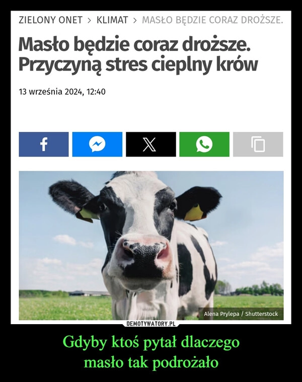 
    Gdyby ktoś pytał dlaczego
masło tak podrożało