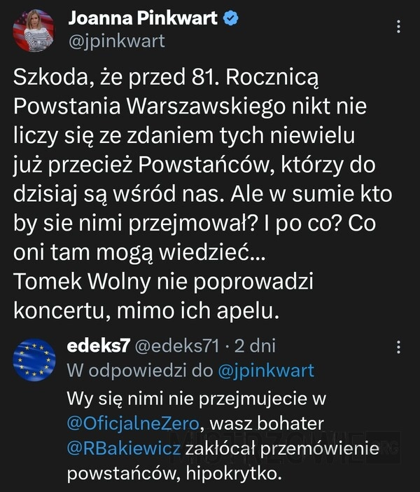 
    Powstańcy