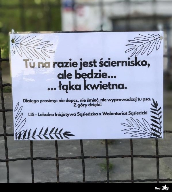 
    Łąka kwietna 