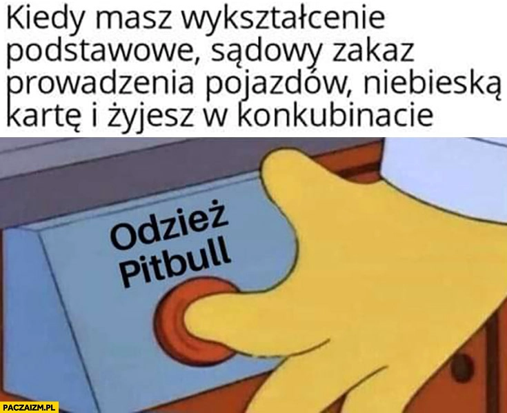 
    Kiedy masz wykształcenie podstawowe, sądowy zakaz prowadzenia pojazdów, niebieską kartę i żyjesz w konkubinacie przycisk odzież Pitbull