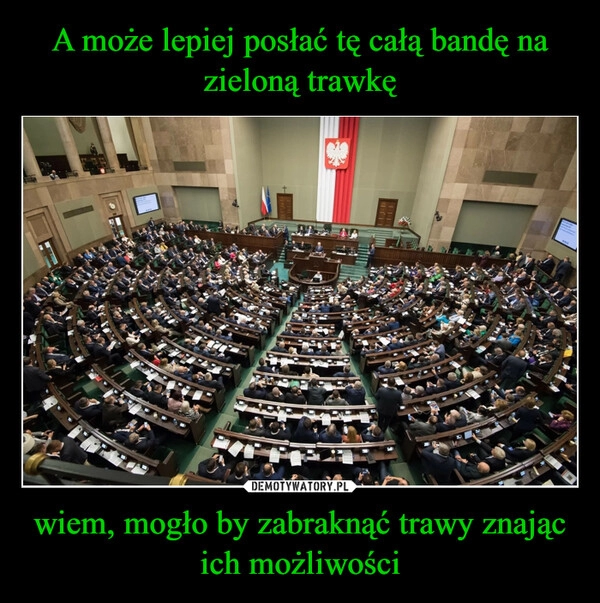 
    A może lepiej posłać tę całą bandę na zieloną trawkę wiem, mogło by zabraknąć trawy znając ich możliwości