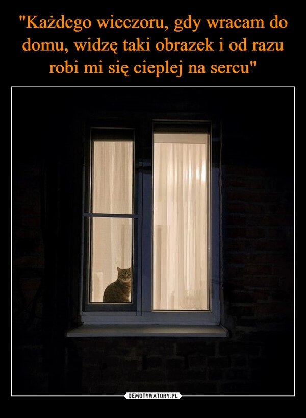 
    "Każdego wieczoru, gdy wracam do domu, widzę taki obrazek i od razu robi mi się cieplej na sercu"