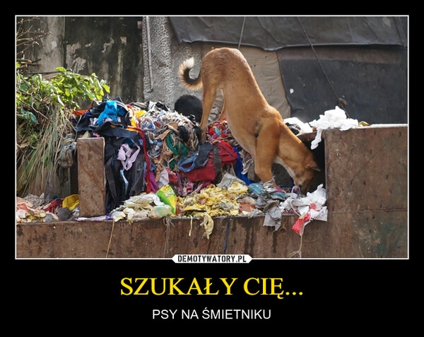 
    SZUKAŁY CIĘ...