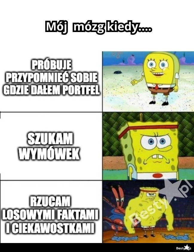 
    Tak działa mózg